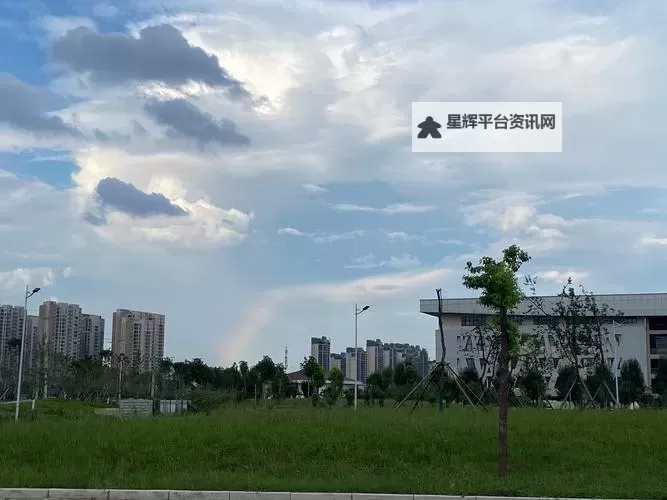 《银鸦之梦》英雄攻略：艾丽卡角色、天赋、技能、养成详解！图1