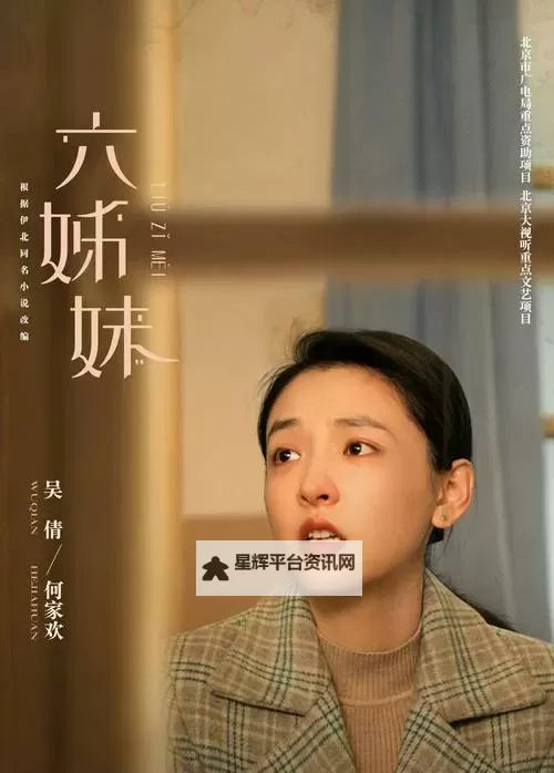 姐姐6免费观看大全电视剧：免费在线观看全系列精彩剧集攻略图2
