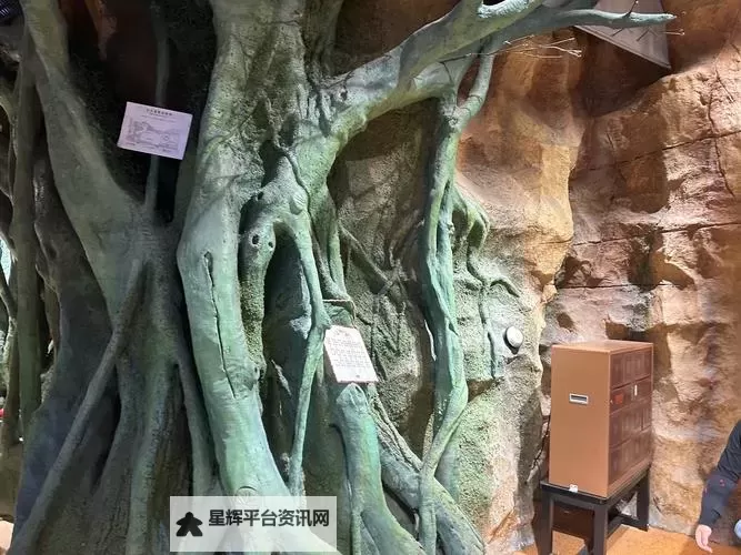 在遗迹的某个角落搜寻宝藏:神秘秘密即将揭晓图1