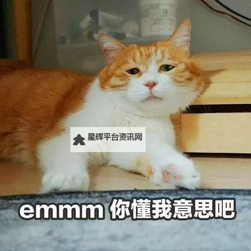 资源你懂我意思吧:深度解析隐藏在背后的意义图1