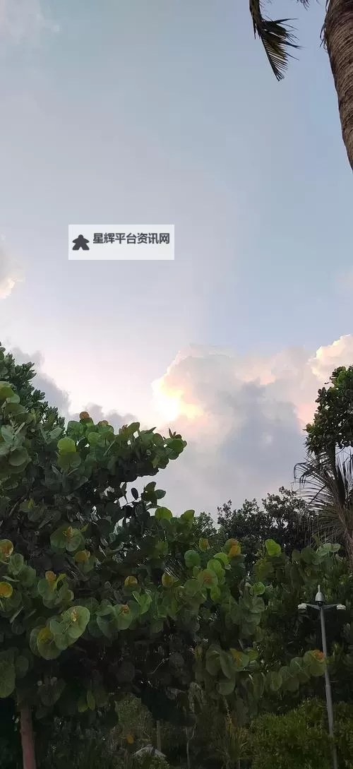 永远免费的奇迹：探索无尽免费资源的世界图1
