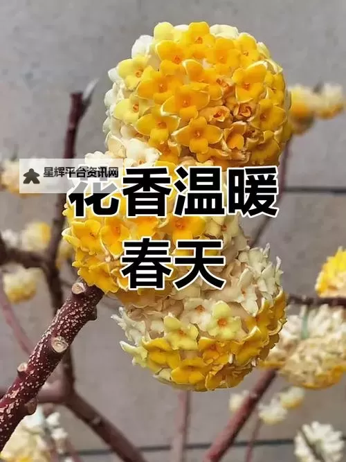 《永劫无间》明镜赛季三排攻略 明镜赛季三排阵容搭配推荐图1