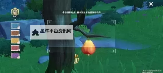 《原神》图形对抗实验录第二天活动指南 基本呈球形的提瓦特物产全点位一览图1