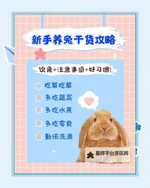 怎么喂老公晚上吃小兔兔呢:宠妻指南让你们更亲密图1