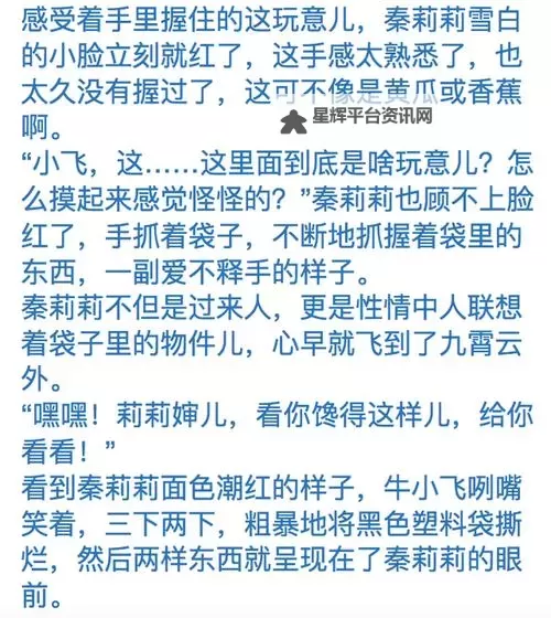 国产一二三四区乱码视频在线观看全解析:最新播放攻略与体验分享图2