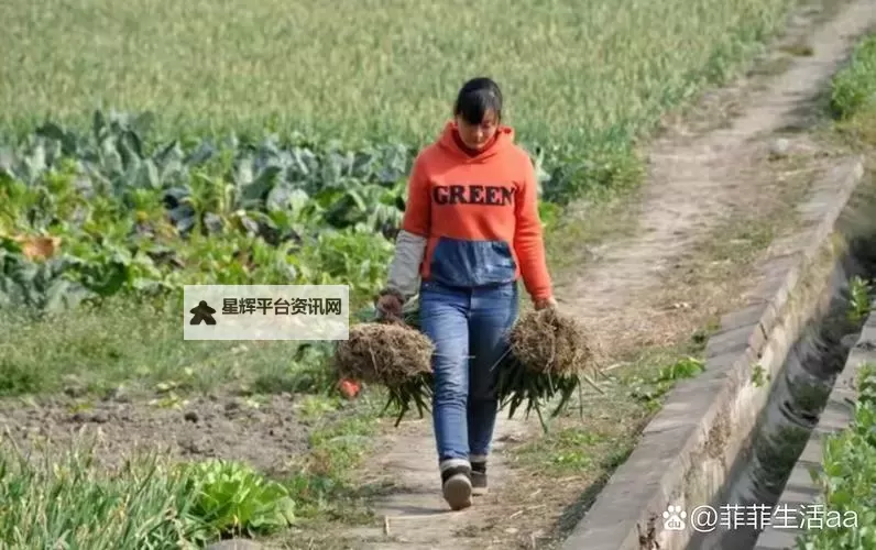 在女儿身上耕田：传统与现代的乡村变迁图1
