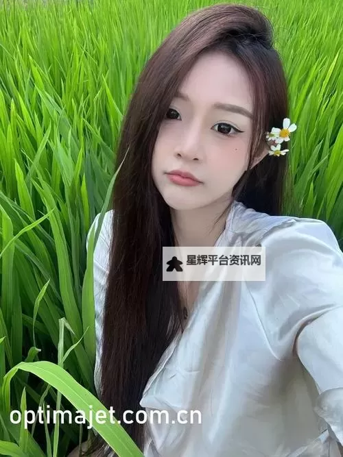 探索实用的资源：全面解析8x8x海外华人网址排行榜图1