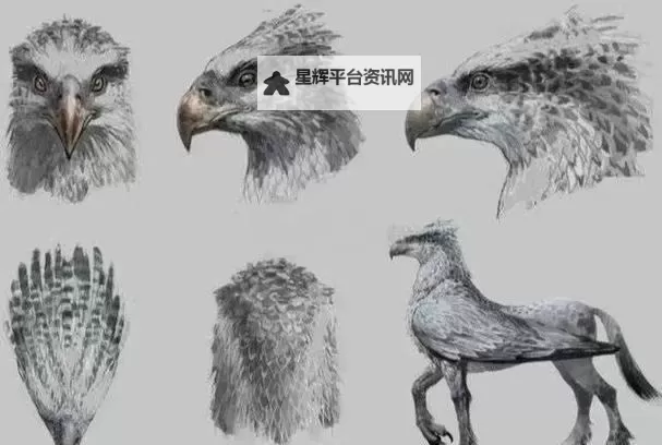 《霍格沃茨之遗》鹰马翼兽标记点解谜攻略图2
