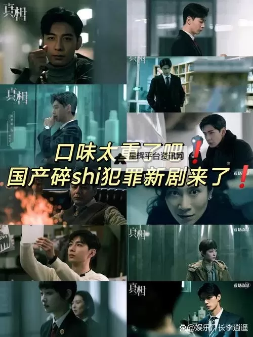 揭示真相:精彩剧情介绍与深度解析图1