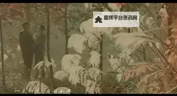 探索娱乐新体验：ww.com男人的天堂精彩内容全解析图1