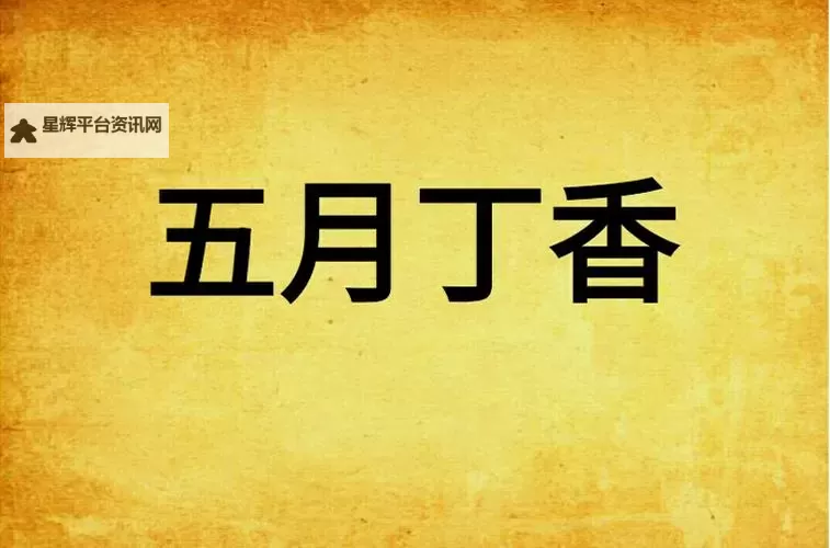 丁香五月黄色电影：畅享夏日的热情与激情图1