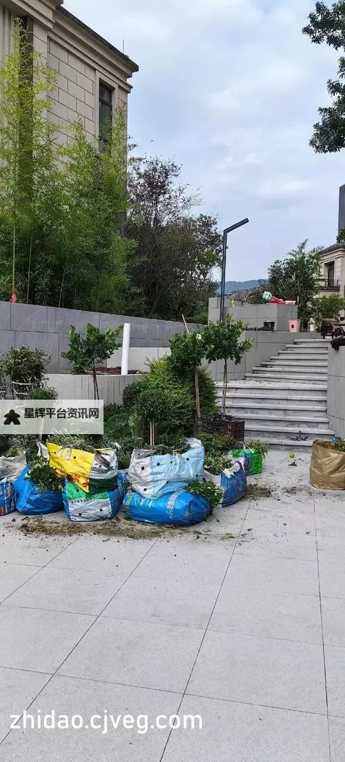 探索农业新天地：优质JY灌溉系统游助您高效养殖图1