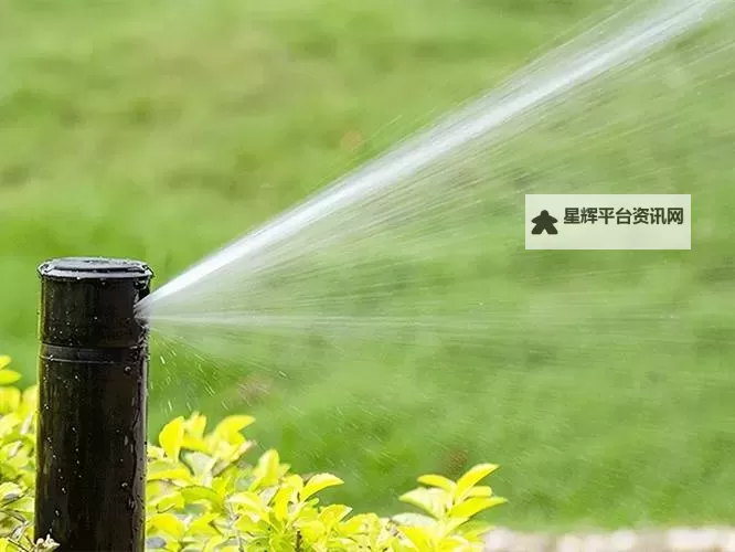 用爱把你小花园灌溉:种出幸福的每一寸阳光图1