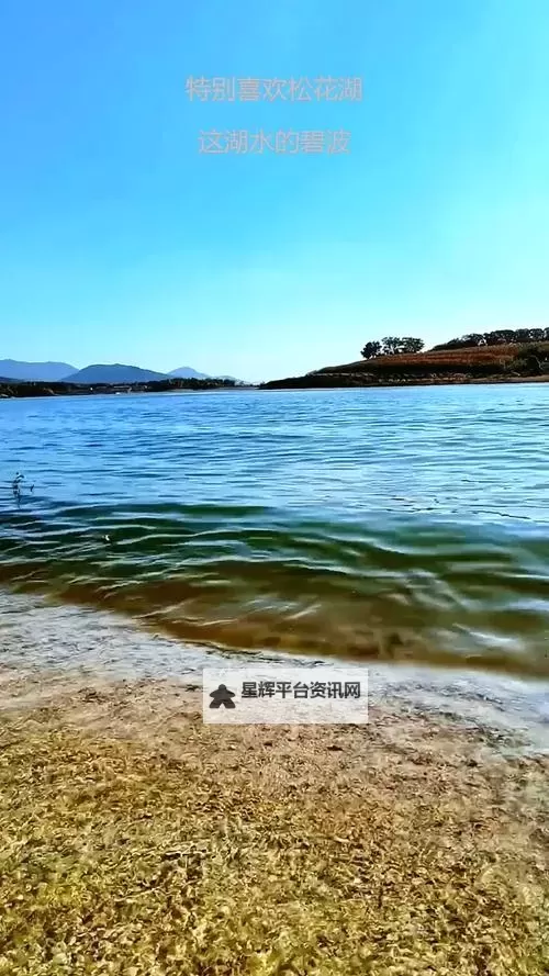 1024手机基地看电影你懂的一区二区高清在线观看指南图1