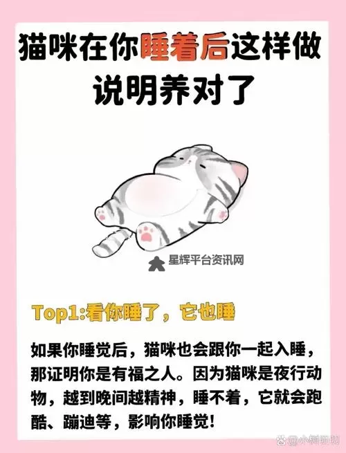 只想和你睡:1v1月半喵的甜蜜对决图1