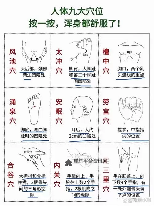 探索人体经络：揭秘久久综合穴的神奇作用图1