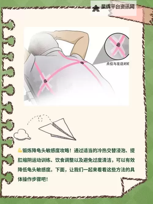 怎样降低龟的灵敏度:实用指南与方法介绍图2