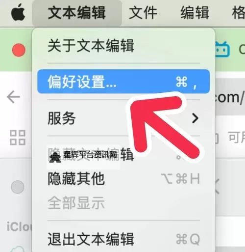 实用指南：中文字幕导入乱码的高速解决方法图1