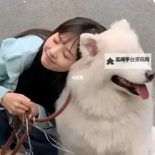 日本真人曰狗：影视中的萌宠与人性互动的深刻探索图1