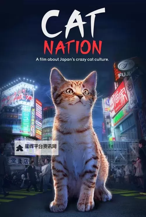猫咪成人在线电影:探索宠物与成人内容的界限图1