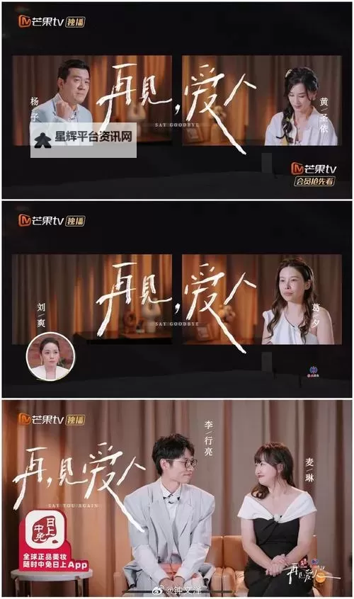 《再见爱人第四季在线观看:精彩剧情全解析与观看指南》图1