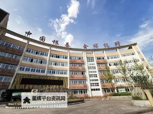 探索精彩纷呈的世界:深入了解一区二区乱一区二区的魅力图1