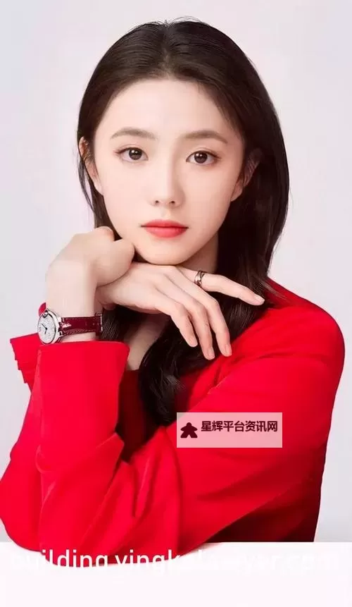 揭秘bilibili隐藏的肉片入口免费：获取无限精彩内容的方法图1