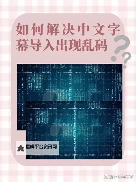 解决方案：中文字幕导入是乱码的原因与修复方法图1
