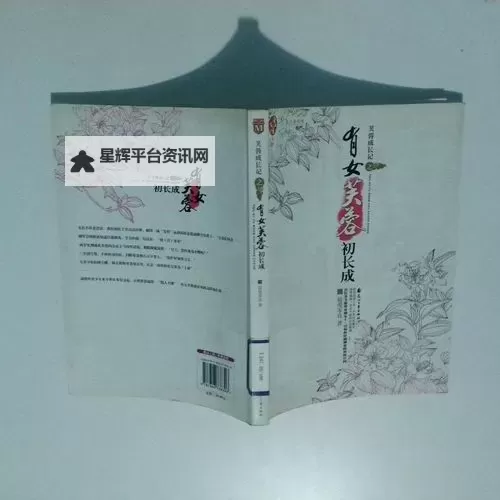 芳华再起：有女芙蓉初长成2的梦幻旅程图1