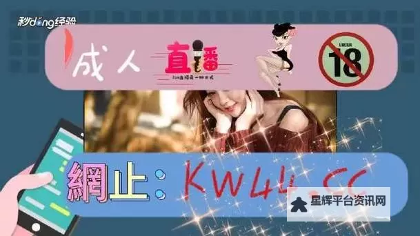 九一传媒视频免费:便捷获取高质量影视资源的全攻略图1