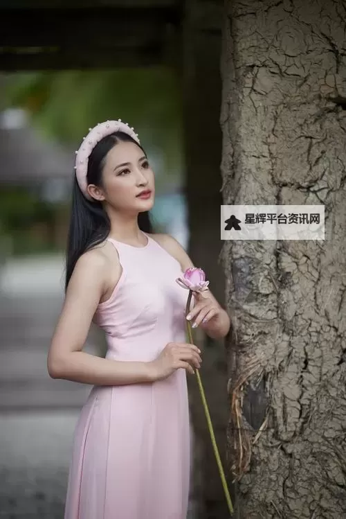 岳潮湿的大肥赵兰梅：乡村传奇的故事与人生浮沉图1