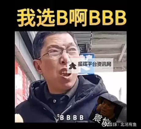 最好玩的B是哪一种?揭秘最具趣味的B类型大盘点!图1