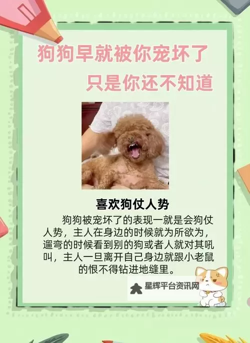 与狗狗做了四个小时都没事，让我对它的耐心有了新的认识图1