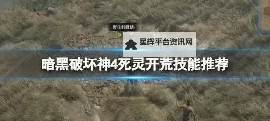 《暗黑破坏神4》第二赛季死灵法师牺牲毒尸爆流独狼开荒教程图1