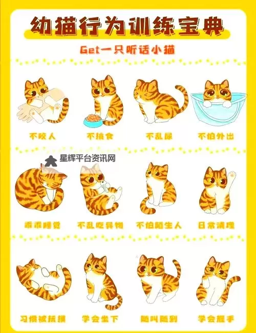 《莱恩岛生存指南》宠物功能与驯服方法一览 猫怎么抓图2