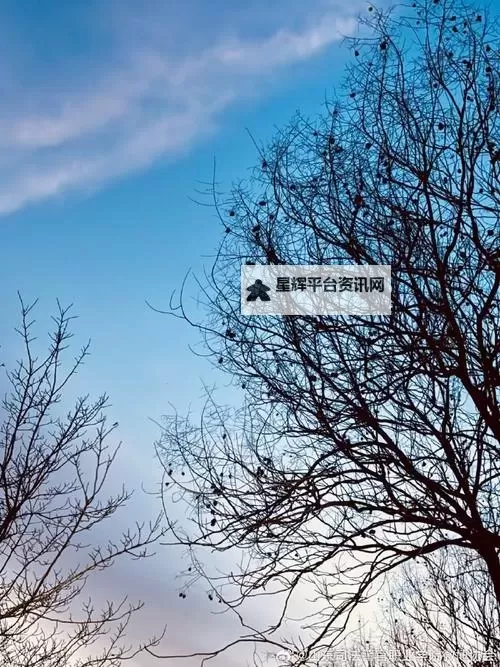 大胆探索：你懂得导航，成为麻豆666狼友的精彩旅程图1