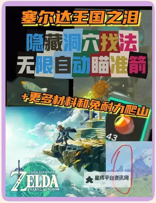 《塞尔达传说王国之泪》快速刷材料BUG操作教学 怎么复制爆炸花图1