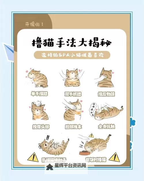 《喵星大作战》新手攻略:萌新玩家操作&小技巧分享!图1