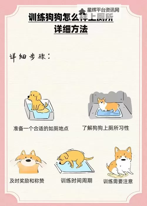 怎样引导狗狗进入自己：实用技巧与温馨指南图2