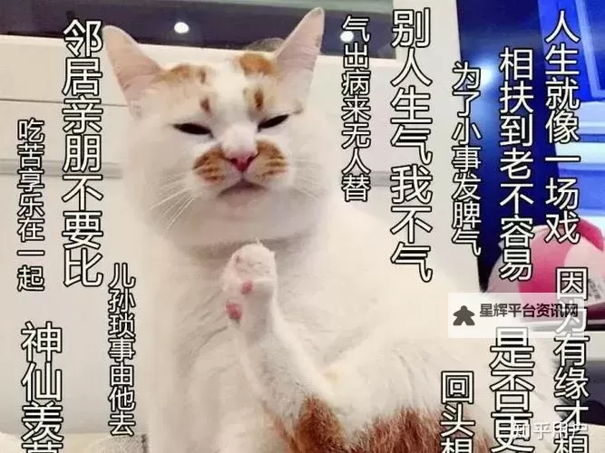 用嘴吃鸡不恶心吗？揭秘真相与误区图2