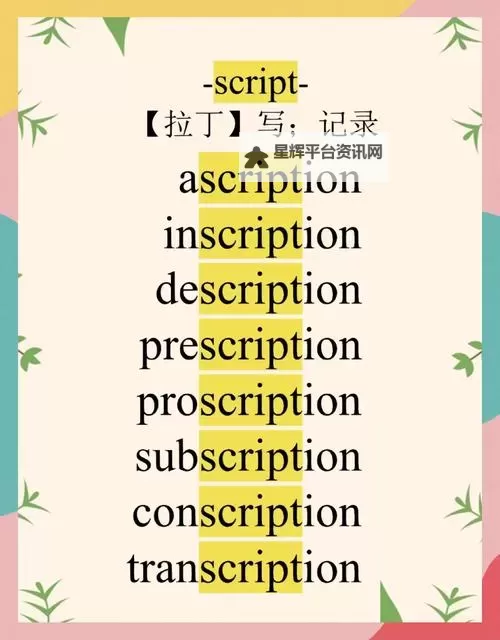 坐在学霸的大紫根上背单词：一次别开生面的学习体验图2