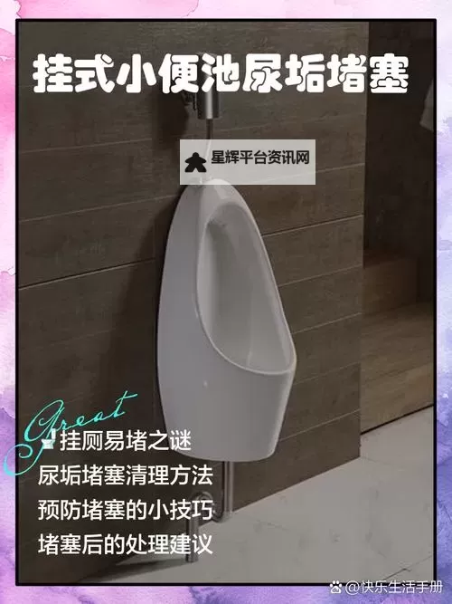 揭秘人体奥秘:Peeholeurethra尿孔的结构与功能分析图2