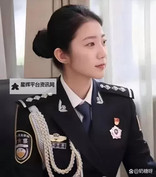 守护正义:张警官吕总并肩奋战的奋楫之路图1