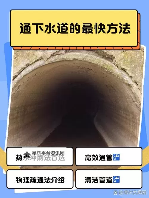 用我的棒棒通你的下水道在线:搞笑短篇轻松解压攻略图1