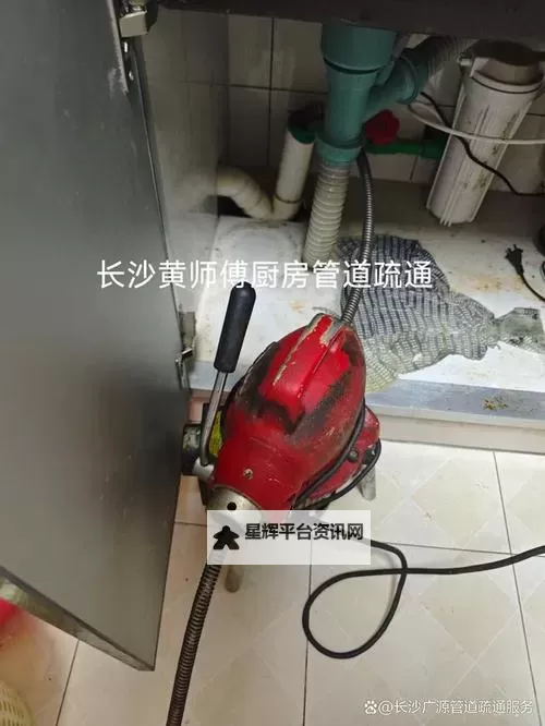 用我的棒棒通你的下水道在线:搞笑短篇轻松解压攻略图2