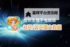 飞翔之光怎么双开、多开?飞翔之光双开助手工具下载安装教程图2
