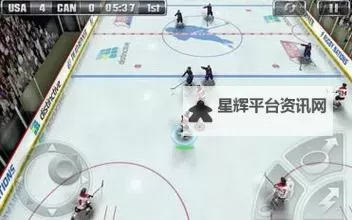 尾巴插件Play冰球玩家评价：实用性与体验分析图1