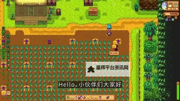 《星露谷物语》1.6版草原洒水器摆放位置推荐图1