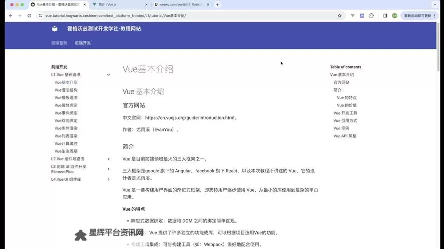 无需付费！高清稳定的在线观看免费永久VUE源码全新免费获取指南图1
