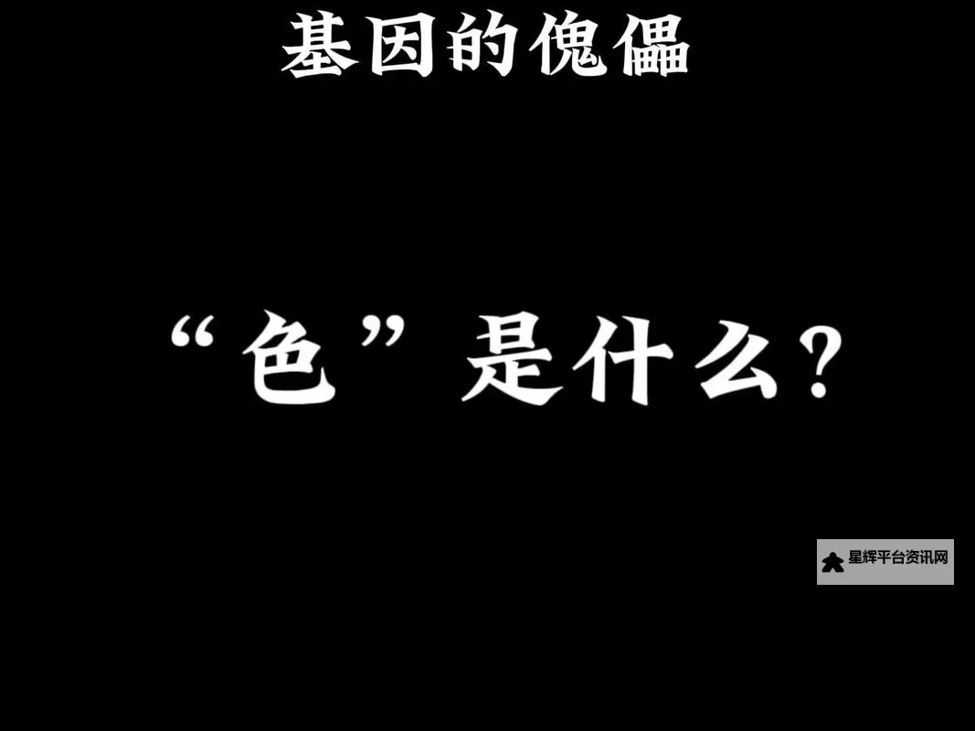 永远的品色:色彩中的永恒之韵图1